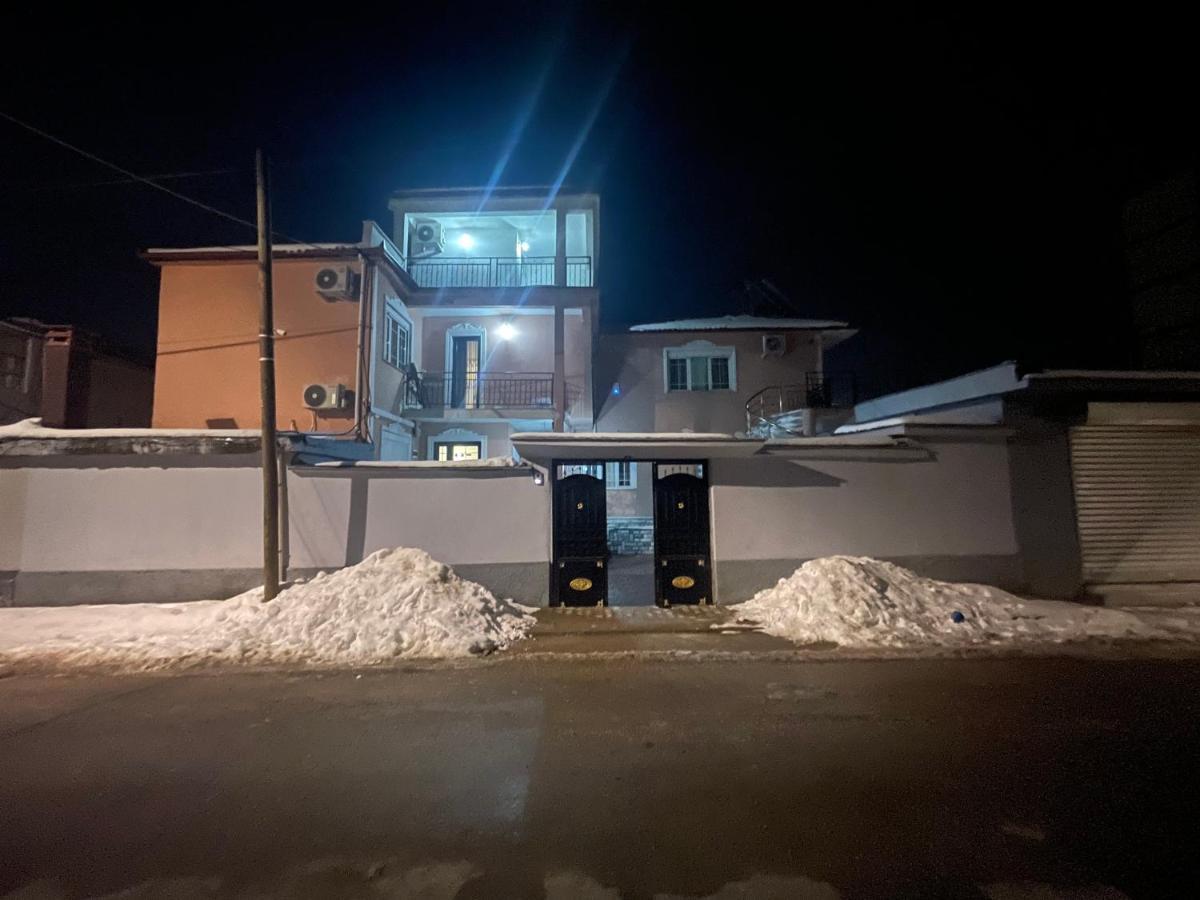 Vila Lika Ξενοδοχείο Κορυτσά Εξωτερικό φωτογραφία